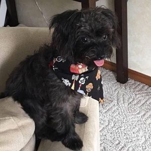 Meet your Posher, Allyson